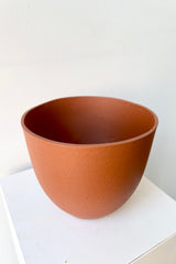 detail of the top of the Coral Pot canyon orange small against a white wall