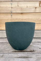 Coral Pot pine green medium against a wooden fence