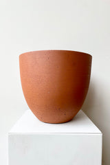 Coral Pot canyon orange medium pot against a white wall