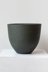 Pine green small Coral Pot on white surface in front of white background