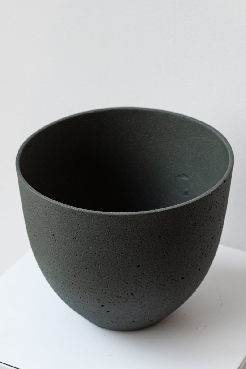 Pine green small Coral Pot on white surface in front of white background
