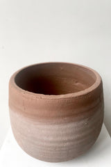 A slight over-the-lip view of Whitewashed Terracotta Pot in large against a white backdrop