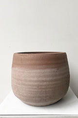 A frontal view of the Whitewashed Terracotta Pot in large against a white backdrop