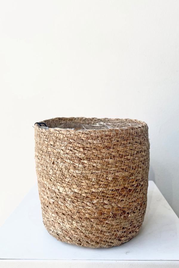 A slight over-the-lip view of Seagrass Basket with liner 4.75" against a white backdrop