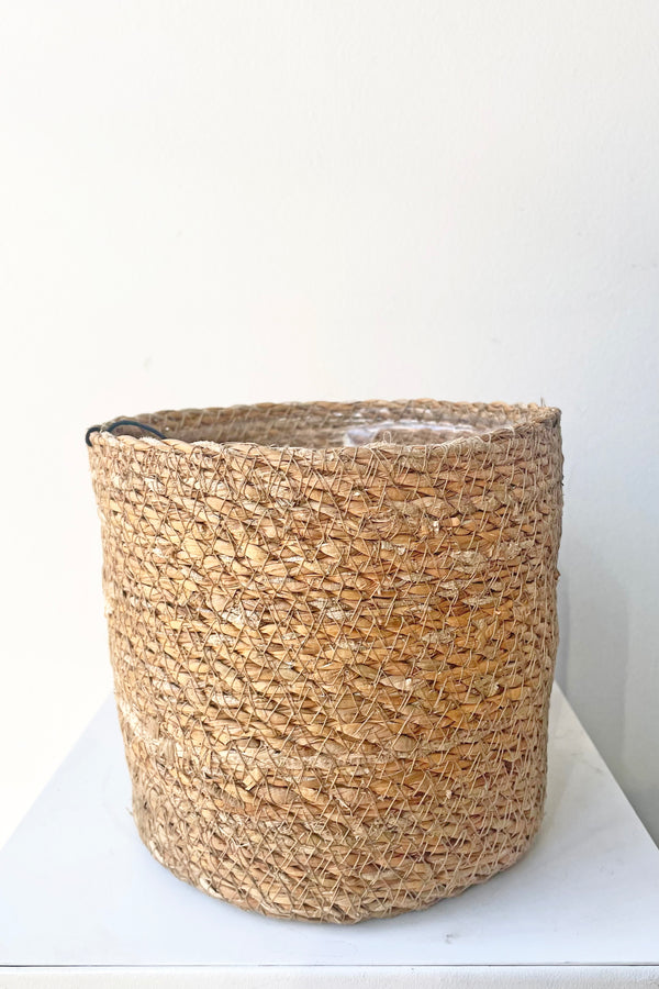 A slight over-the-lip view of Seagrass Basket with liner 6.25" against white backdrop