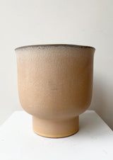 The Champagne Stoneware 6.5" pot sits against a white backdrop.