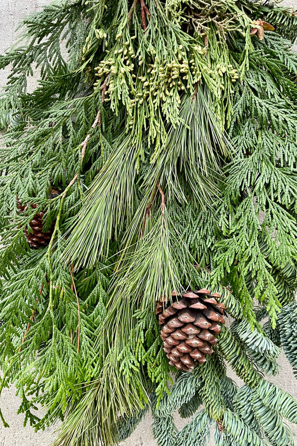 Detail of the Big Daddy door swag showing the variation of evergreen with pine cones. 