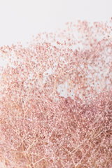 Detail of Gypsophila Mini Pale Dark Pink Pastel Preserved Bunch in front of white background