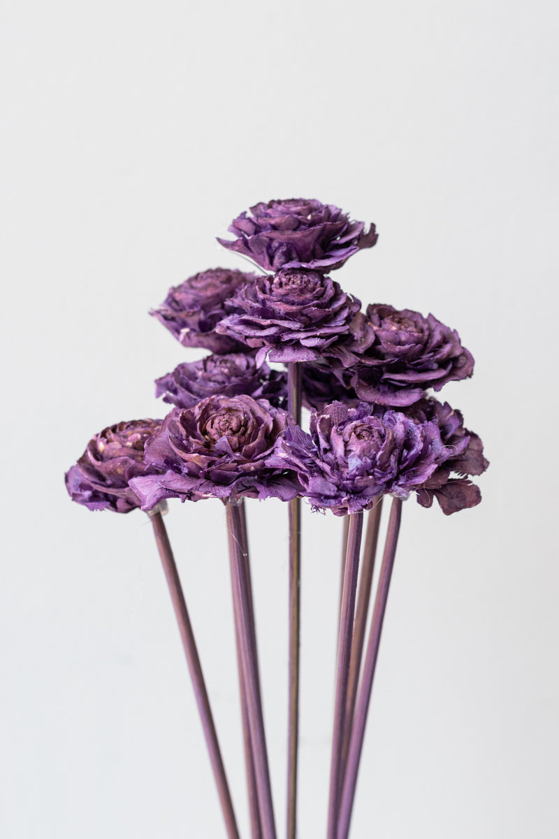 Cedar Rose Violet Pastel Preserved Bunch in front of white background