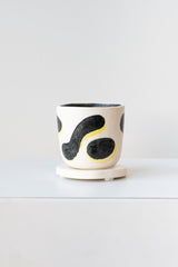 Technicolor Dino handpainted porcelain succulent planter and tray on a white surface in a white room