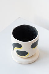 Technicolor Dino handpainted porcelain succulent planter and tray on a white surface in a white room