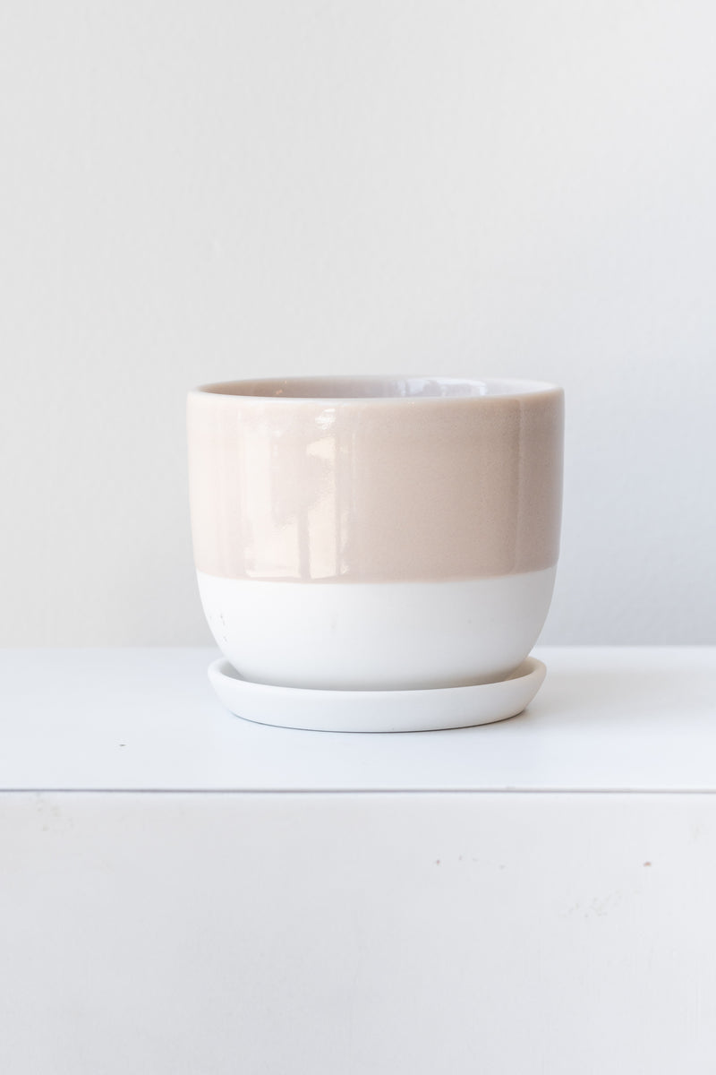 Two-toned beige and white ceramic kinto planter and saucer on a white surface in a white room