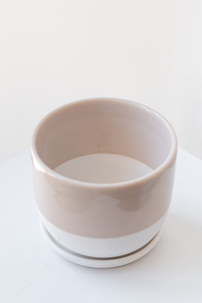 Two-toned beige and white ceramic kinto planter and saucer on a white surface in a white room