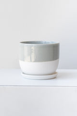 Two-toned grey and white ceramic kinto planter and saucer on a white surface in a white room