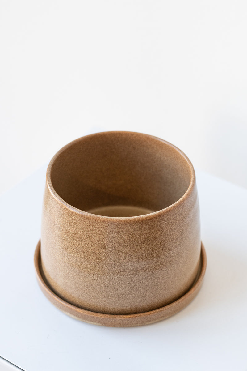Small beige KINTO porcelain planter pot on a white surface in a white room
