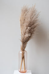 Hawkins New York large blush Aurora Pill Vase on white surface in front of white background. Inside the vase are two large stems of Pampas grass