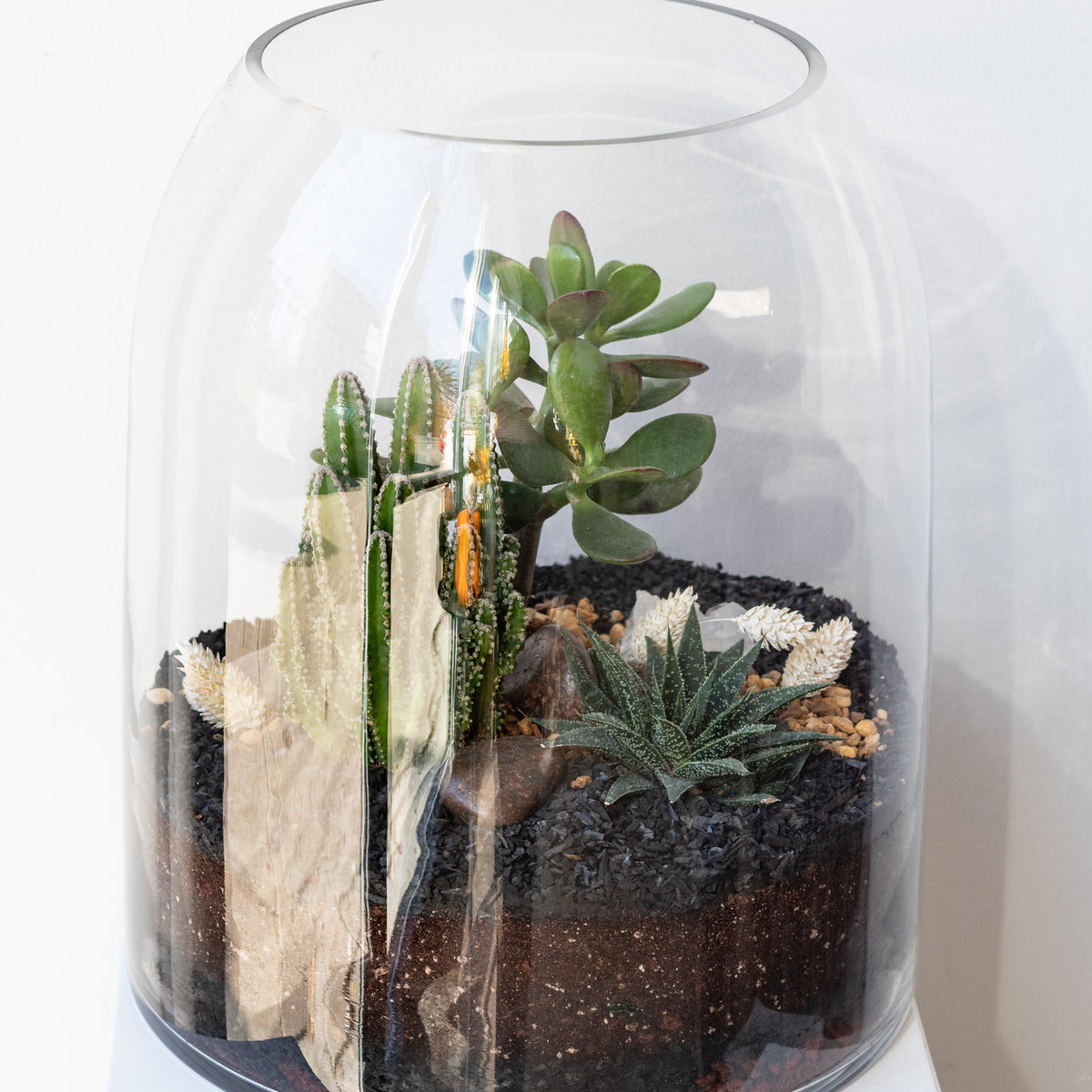 Sprout Home Dome Planted Terrarium Tall