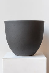 Volcano black medium Coral Pot on white surface in front of white background
