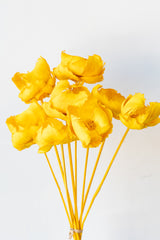 Palm Cap Yellow Pastel Preserved Bunch in front of white background