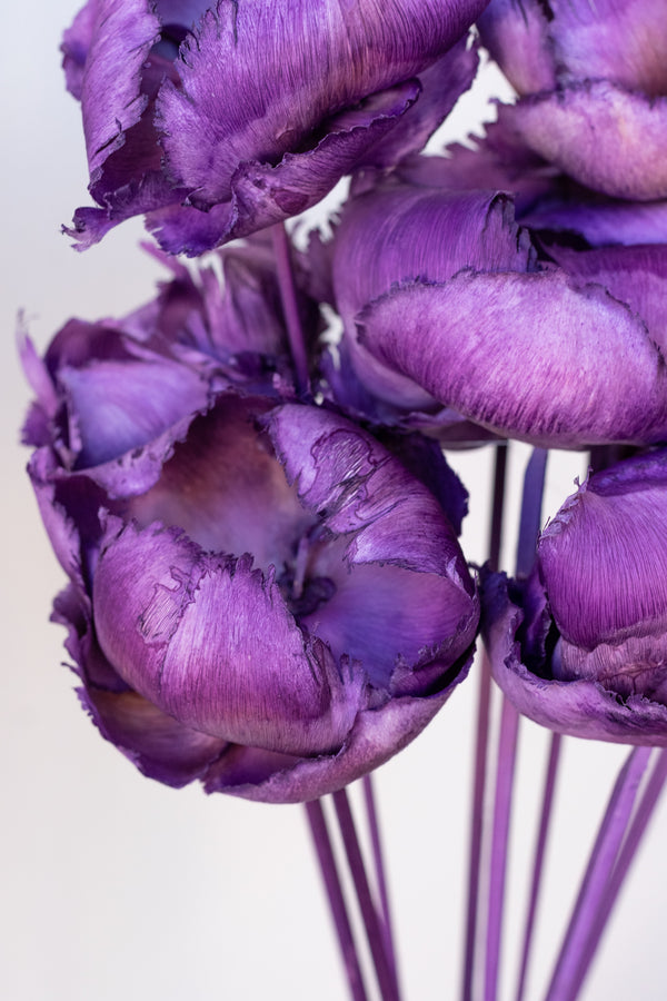 Close up of Palm Cap Lavender Pastel Preserved Bunch in front of white background