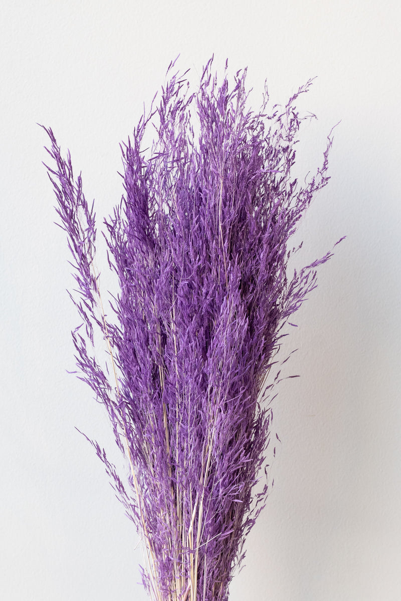 Munni Lavendar Pastel Preserved Bunch in front of white background