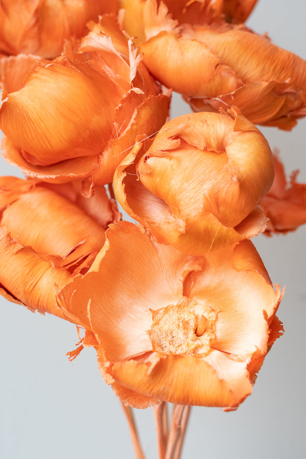 Close up of Palm Cap Deep Light Pink Pastel Preserved Bunch in front of white background