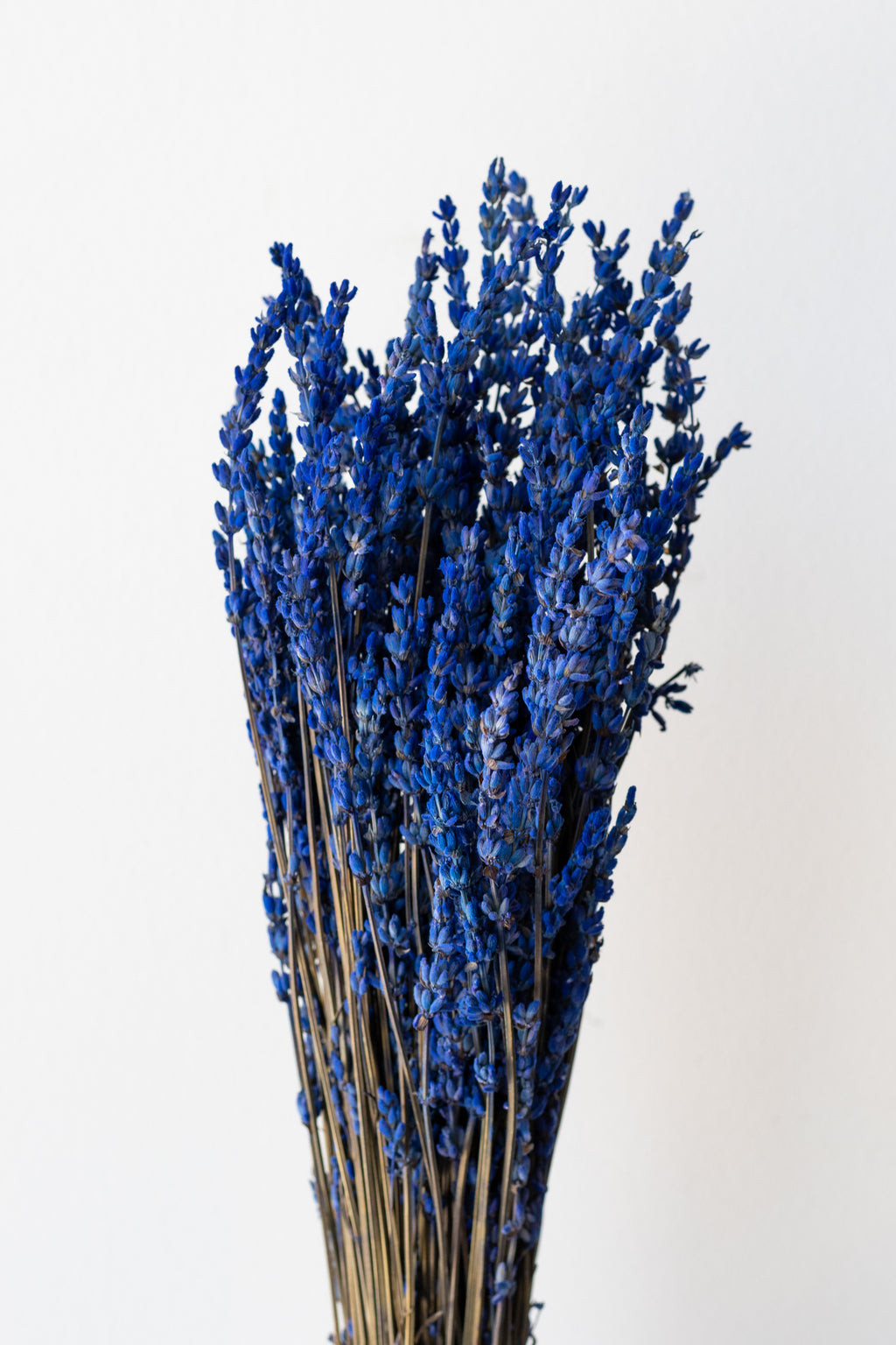 Dried Lavender Bouquet – Terre Bleu