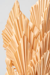 Close up of preserved peach pastel palm spear bunch in front of white background