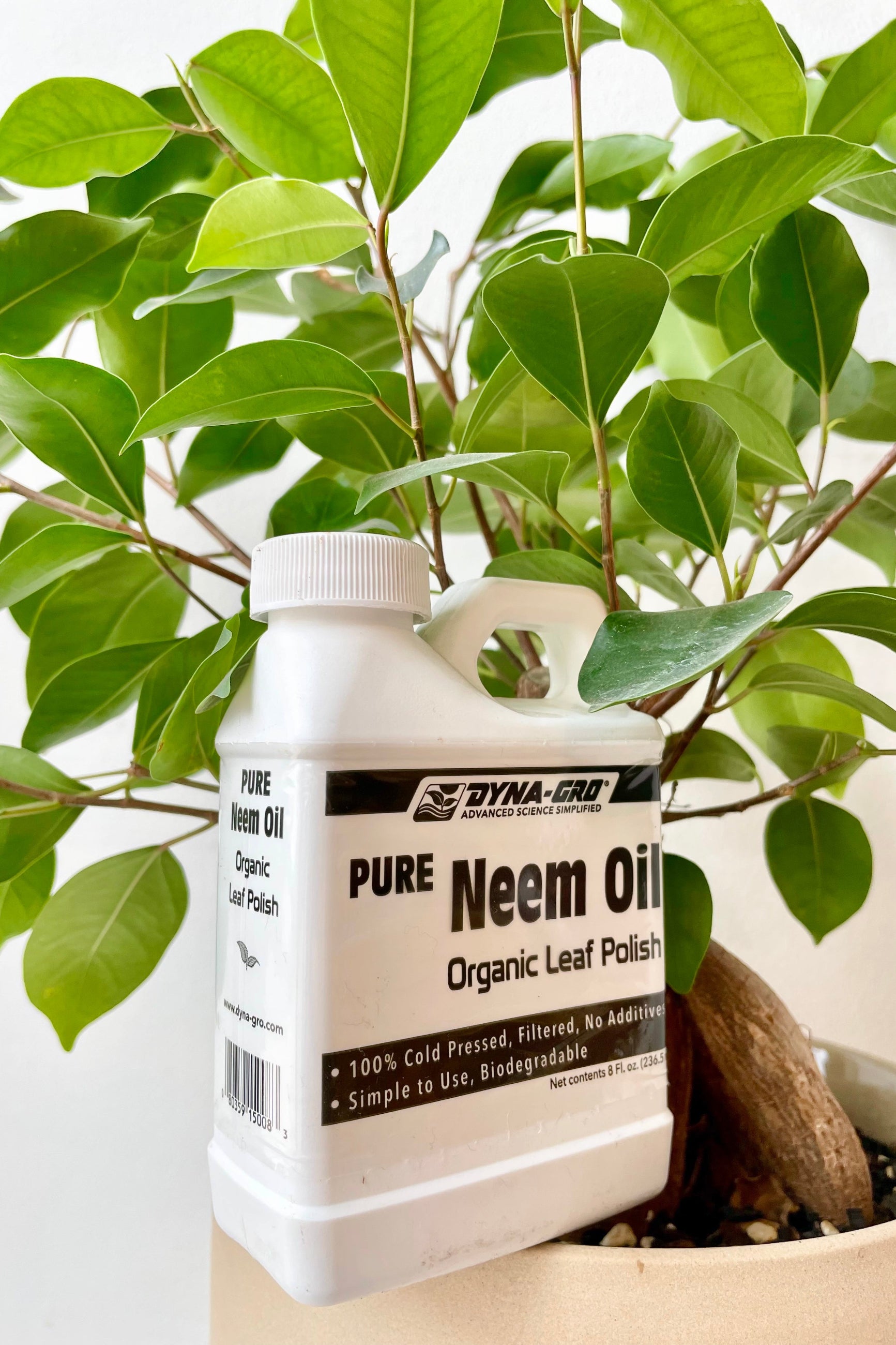 detail of the Neem Concentrate dyna-gro 8oz. with a plant against a white wall  ©Sprout Home