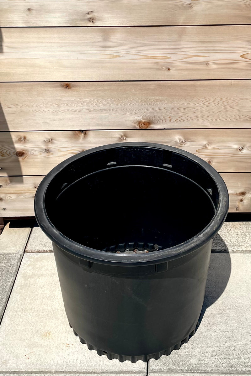 An overhead view of the black 20" grow pot against a brown fence