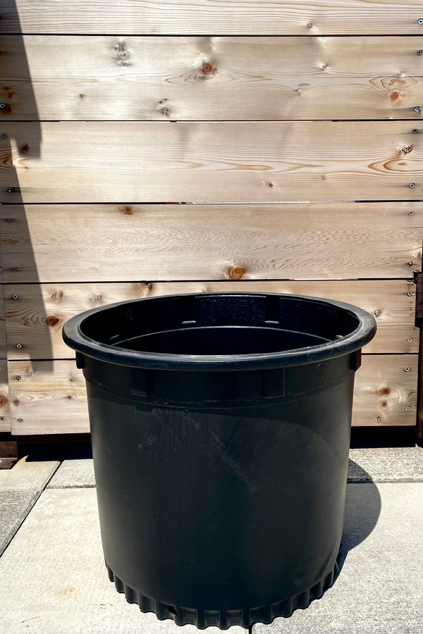 The black 20" grow pot sits against a brown fence