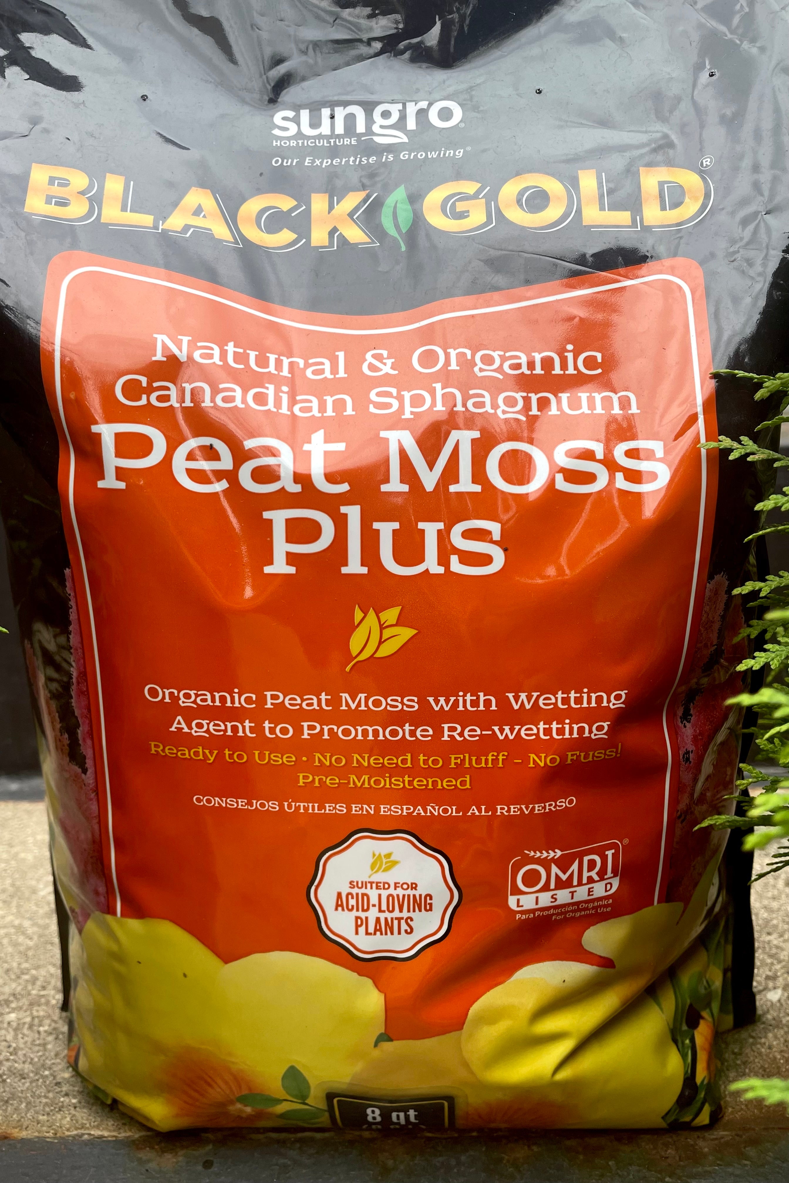 Black Gold Organic Peat Moss 8qt