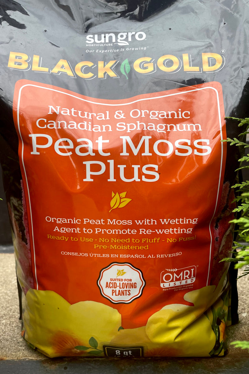 Black Gold Organic Peat Moss 8 quart