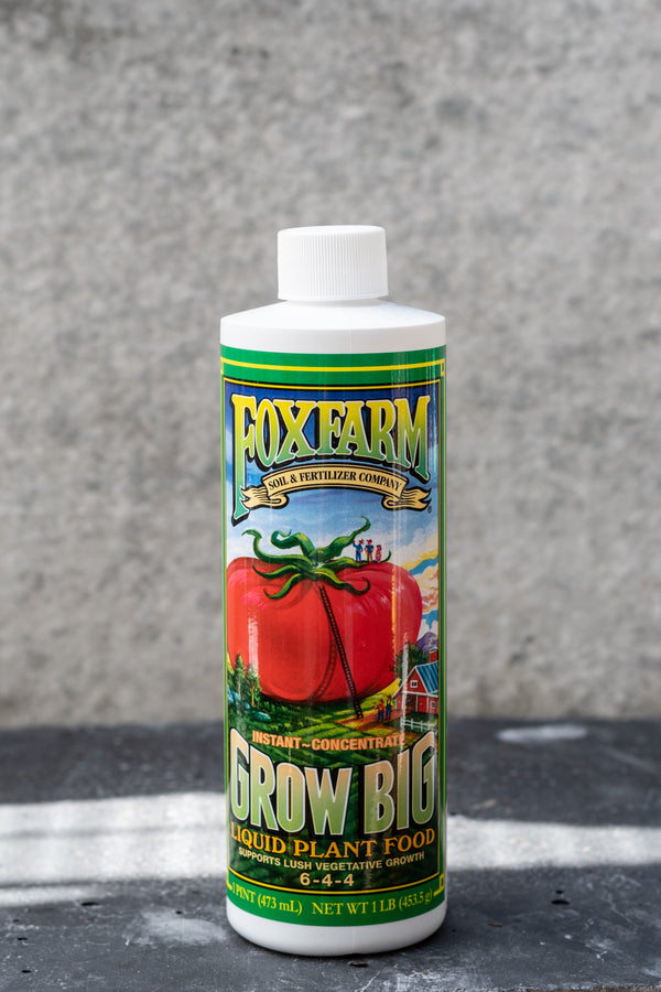 A bottle of FoxFarm grow big liquid fertilizer showing the graphic large tomato farm image. 