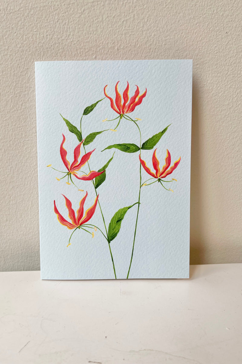 Flame lily card by Stengun Drawings against a white wall. 