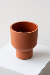 The Northern Habitat Funnel Planter terracotta on a white surface in a white room