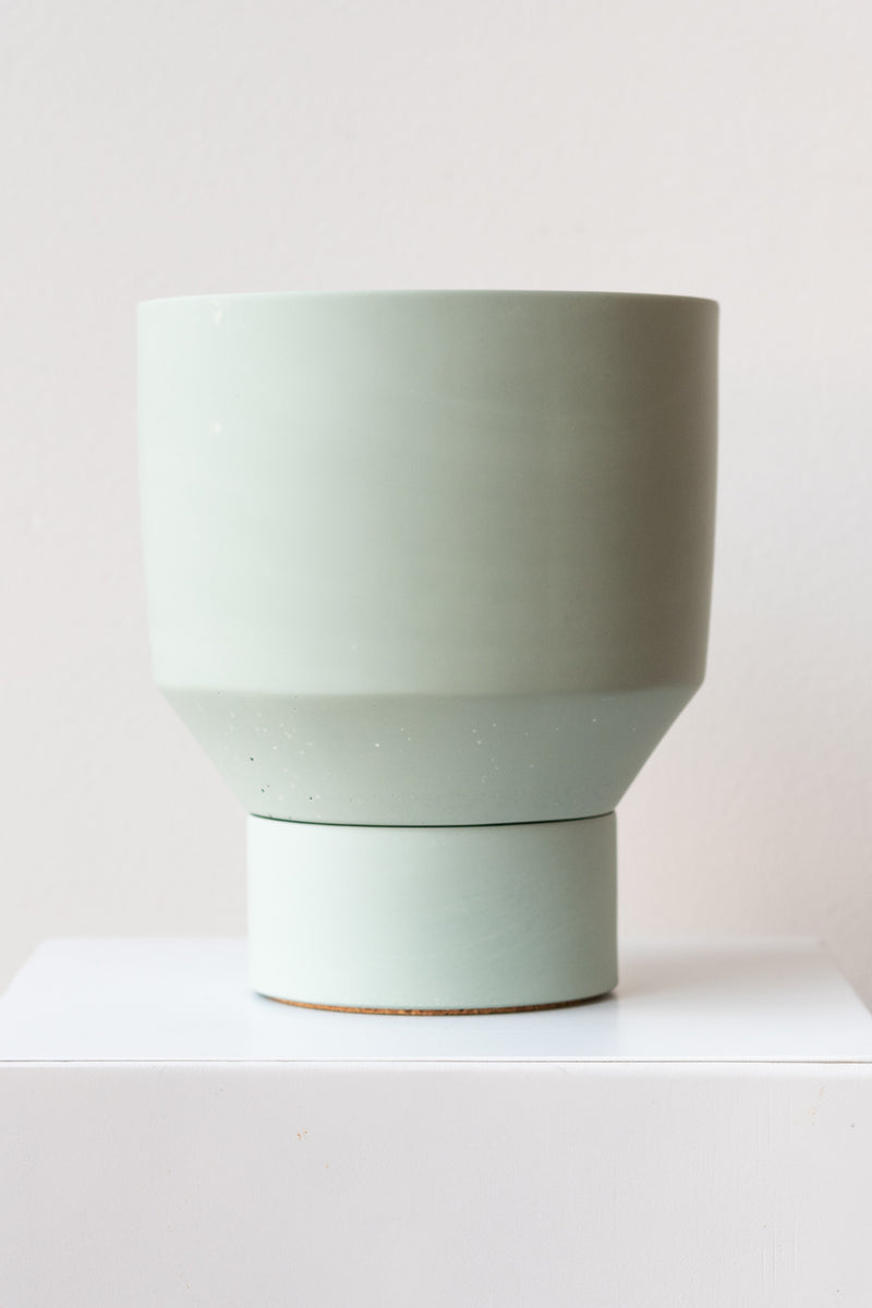 The Northern Habitat Funnel Planter desert sage on a white surface in a white room