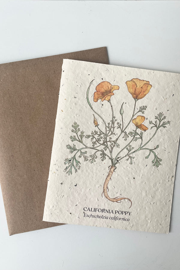 An overhead view of California Poppy seeded paper card with brown Kraft envelope