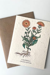 An overhead view of Calendula seeded paper card with brown Kraft envelope
