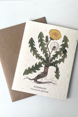 An overhead shot of the Dandelion seeded paper card and brown Kraft envelope