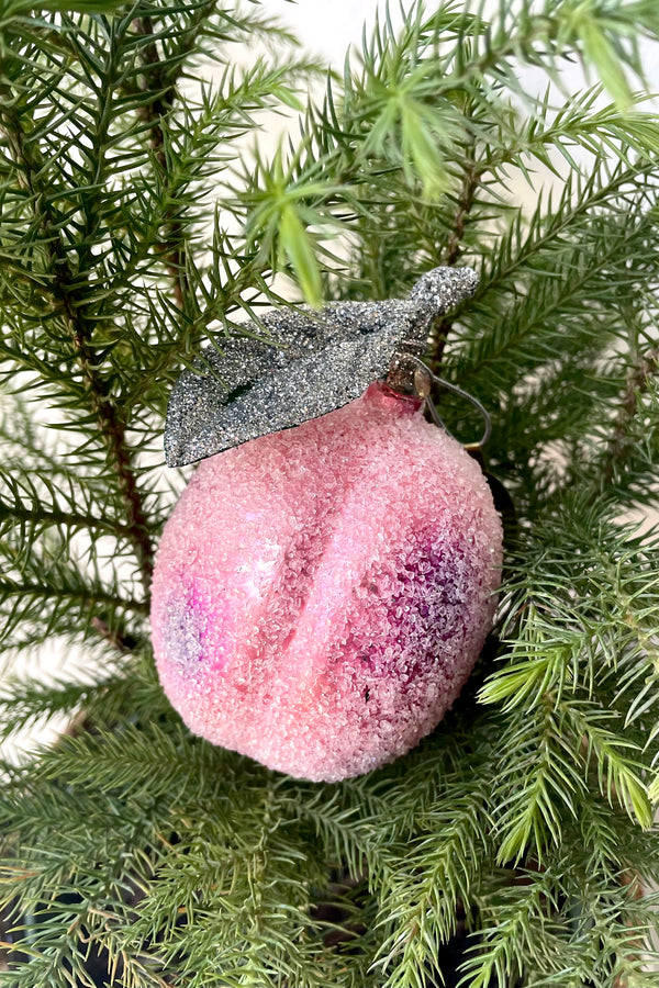 A view of the Sugar Plum Ornament in a fir tree