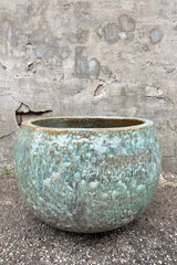 Malachite Cercle Planter Large against a grey wall