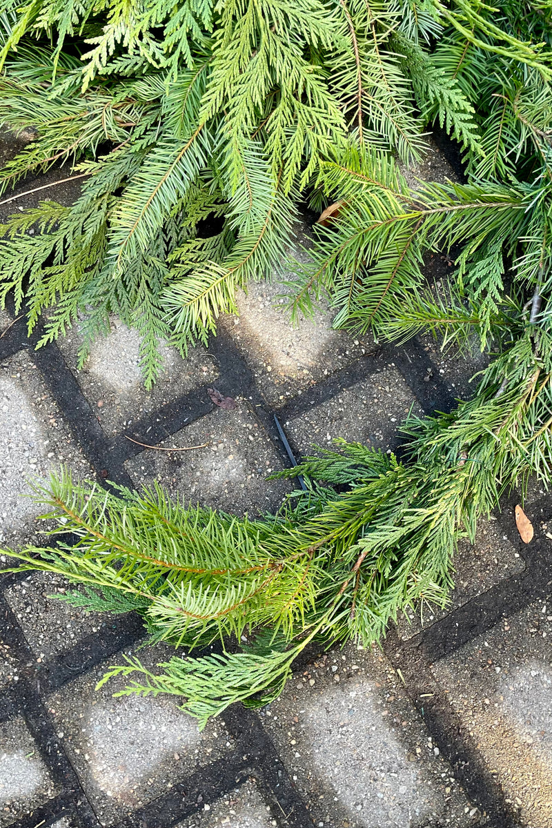 Garland created with a mix of Douglas fir and cedar sitting on a gray brick background. 