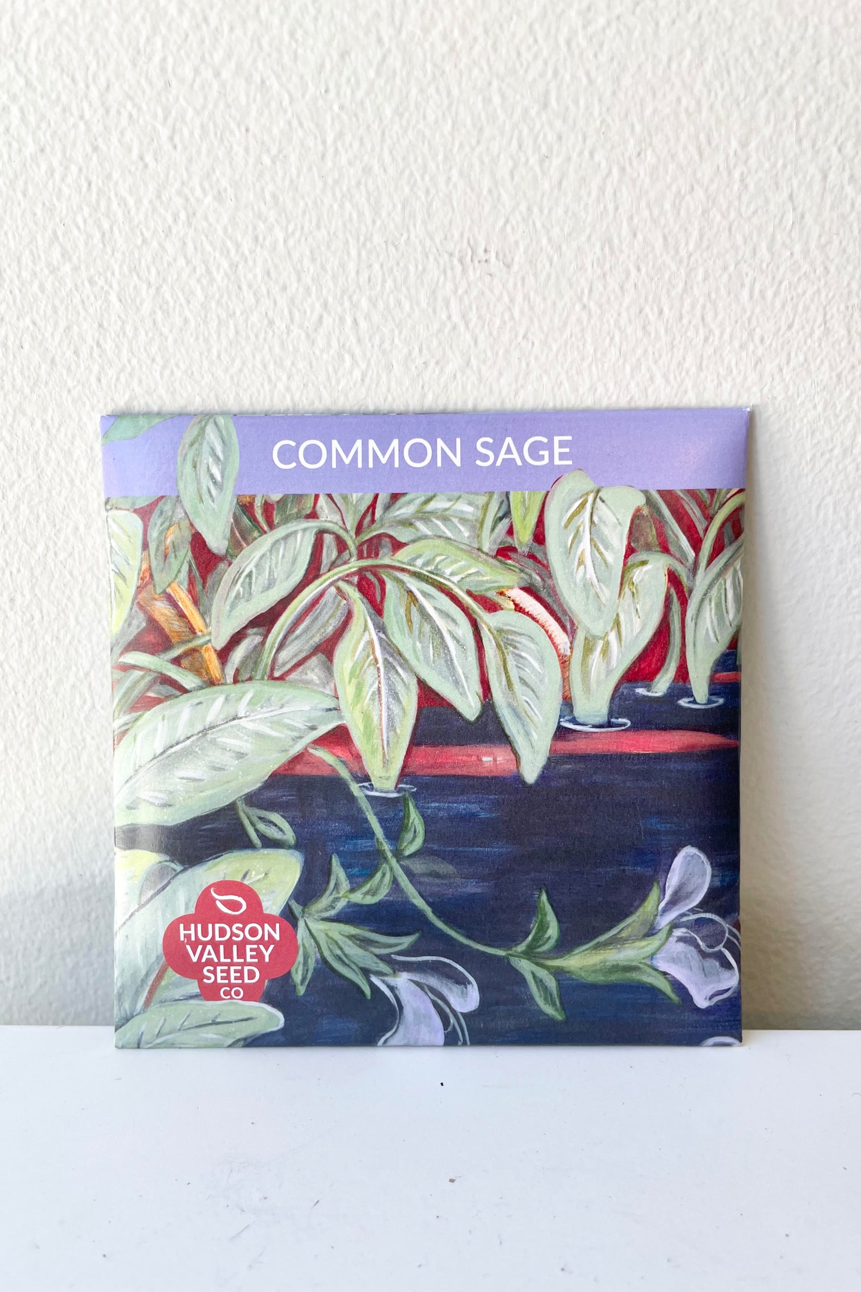 A detailed look at the Common Sage Seeds Art Pack ©Sprout Home
