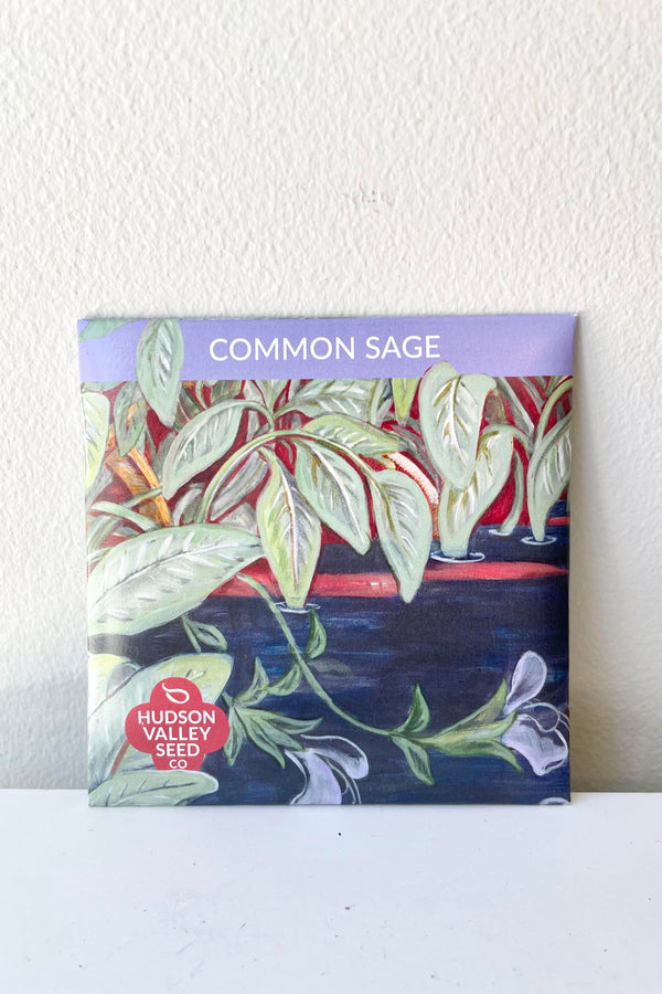 A detailed look at the Common Sage Seeds Art Pack