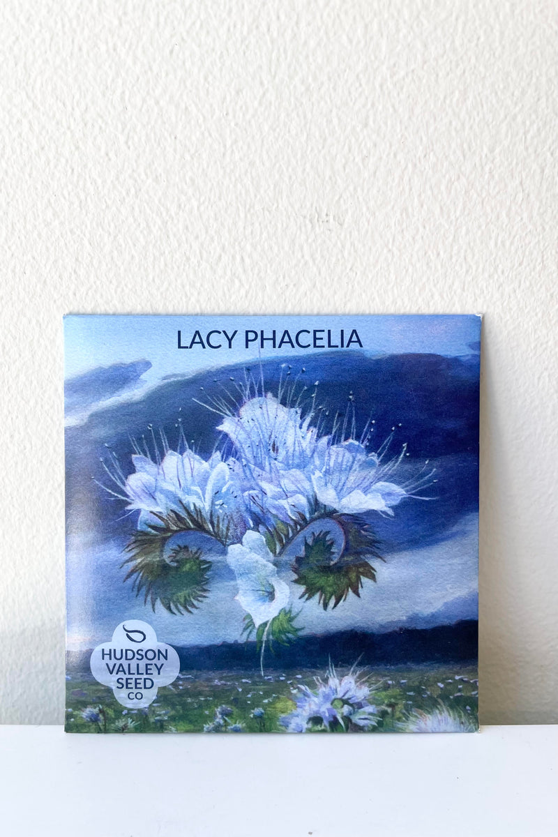 A detailed look at the Lacy Phacelia Seeds Art Pack