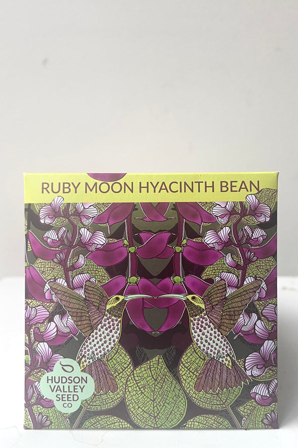 A front view of Ruby Moon Hyacinth Bean Seeds Art Park against white backdrop