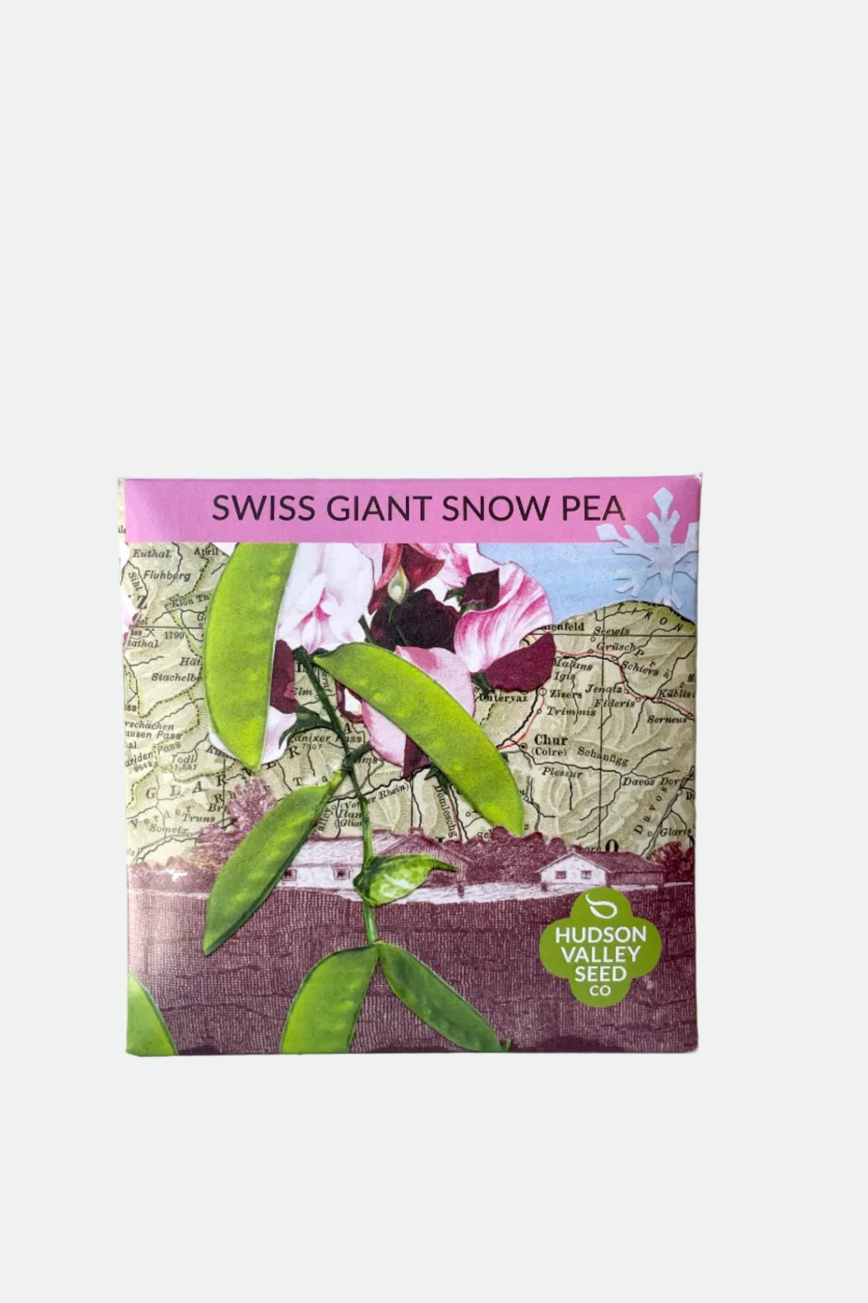 A detailed look at Swiss Giant Snow Pea Seeds Art Pack  ©Sprout Home