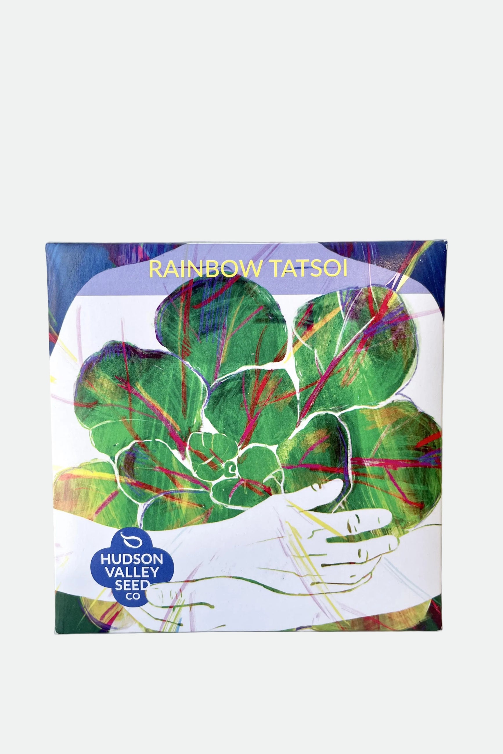 A detailed look at the Rainbow Tatsoi Seeds Art Pack ©Sprout Home