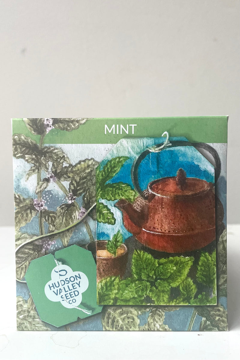 A frontal view of Mint Seeds Art Pack against white backdrop